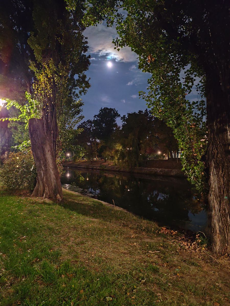 Weather Photos in Timișoara. Weather forecasts with beautiful photos by Lupsaman