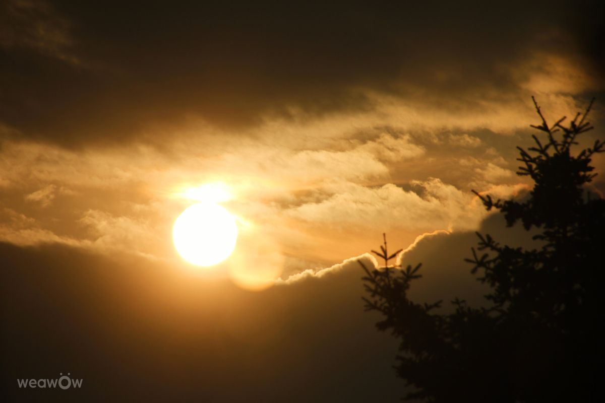 Weather forecasts with beautiful photos by BijanZ