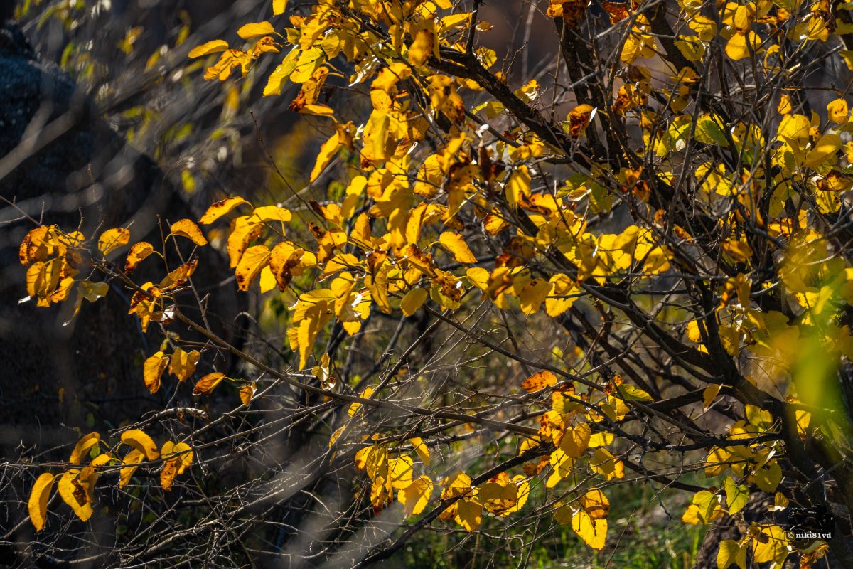 Фотографии Погоды в Пловдив. Прогнозы погоды с чудесными фотографиями, сделанными niki81vd