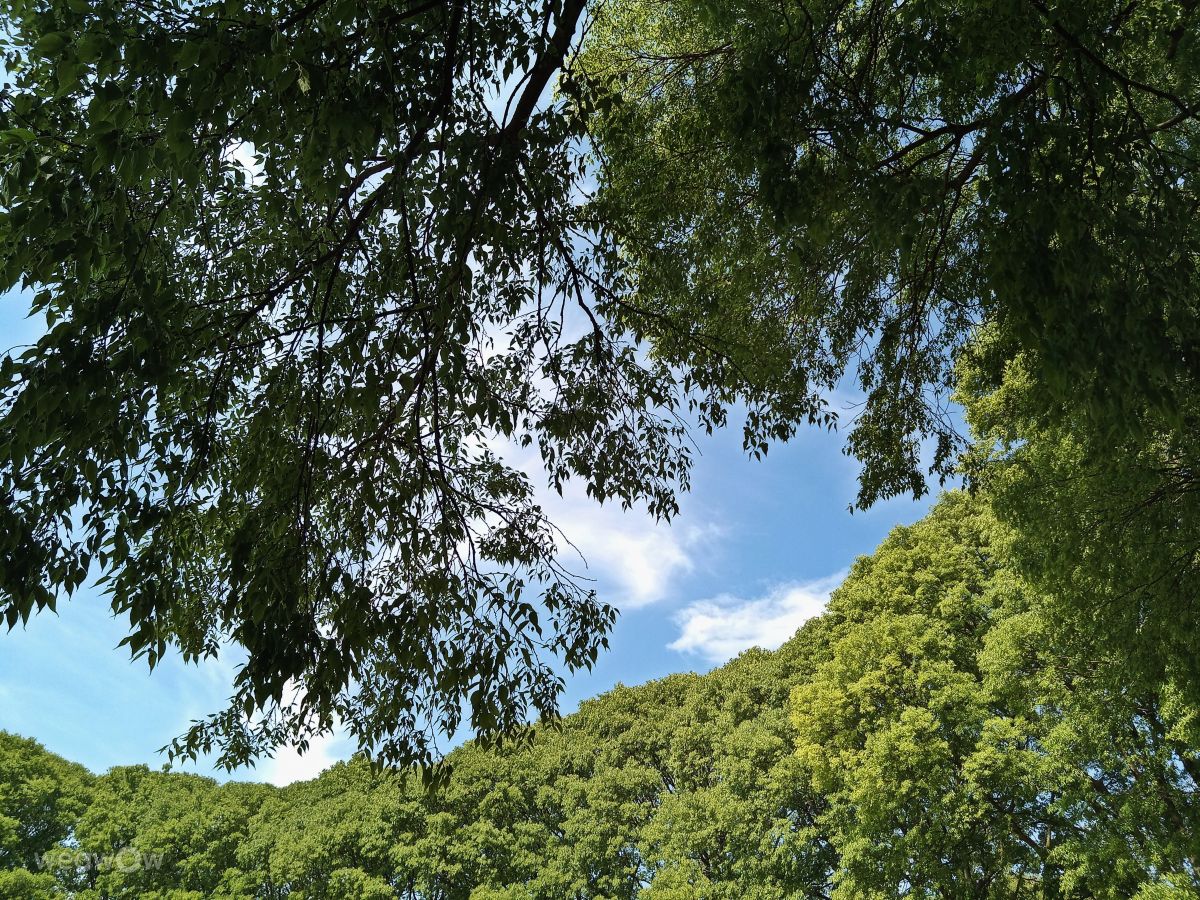 Photos météo à Émilie-Romagne. Prévisions météo avec de superbes photos de Stefano-Sunny