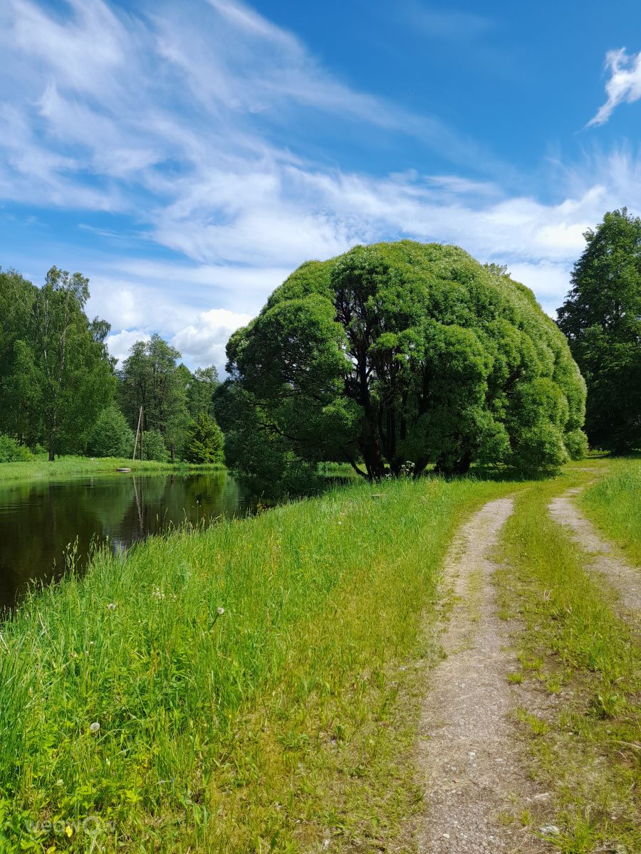 Weather Photos in Žīguri. Weather forecasts with beautiful photos by Ēriks Purviņš