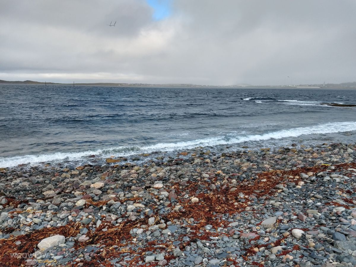 Vardøの天気写真. Jukiの美しい写真による天気予報