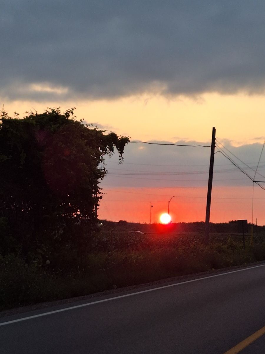 Photographer ccdn0630, Weather Photos in Barrie - Weawow