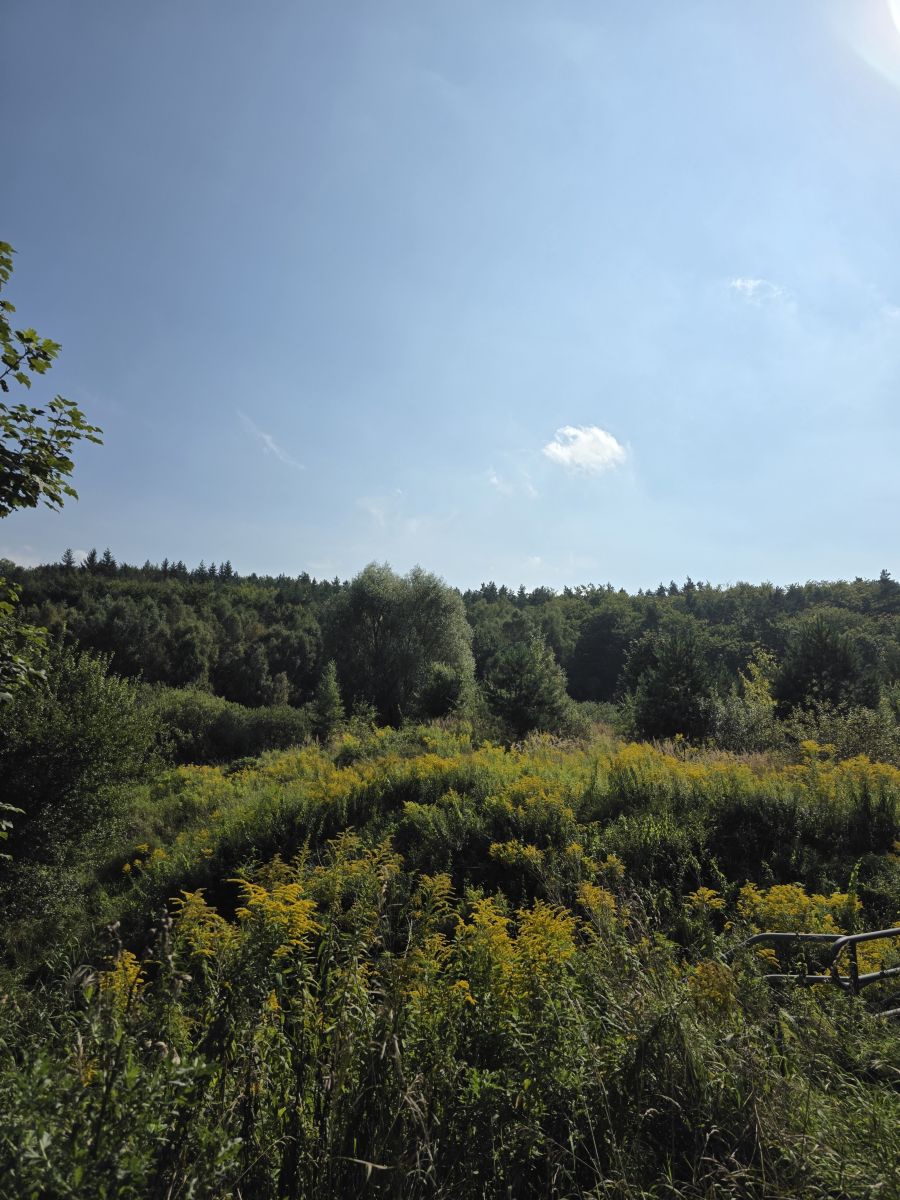 写真家 xPrzybyLx、グディニャの天気写真 - Weawow