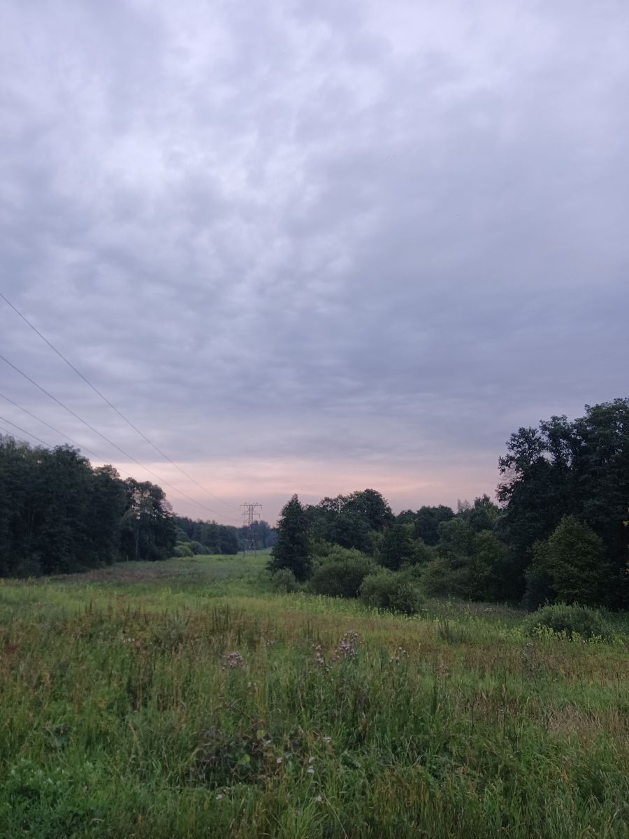 Photographer Amanda_and_Valdemar_Che, Weather Photos in Izmaylovo District - Weawow