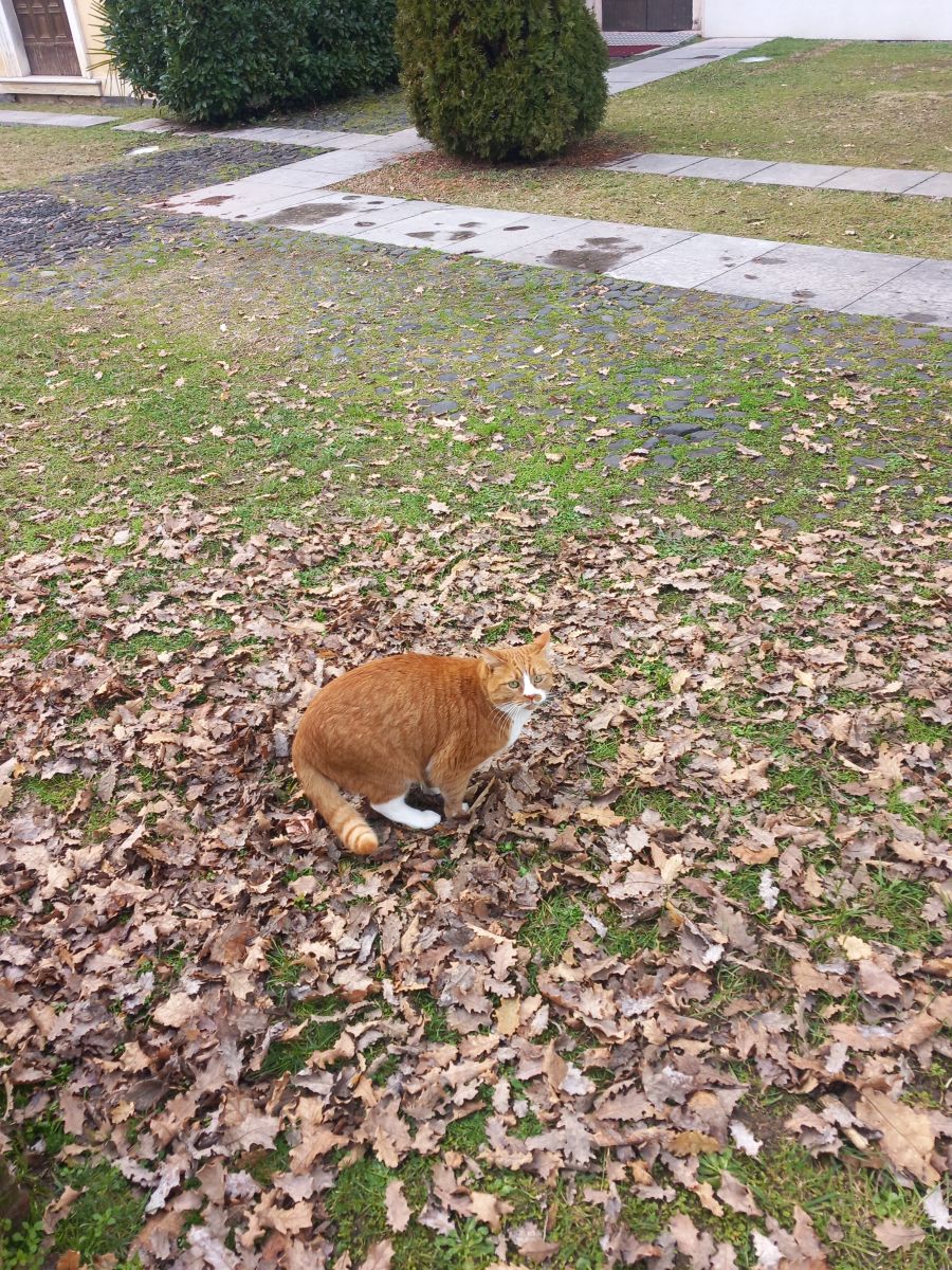 Weather Photos in Italy. Weather forecasts with beautiful photos by Acrobat76