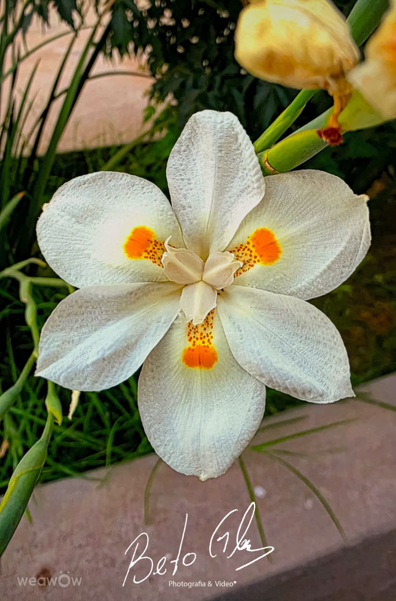 Weather Photos in Ciudad Juárez. Weather forecasts with beautiful photos by BETOGONZALEZ