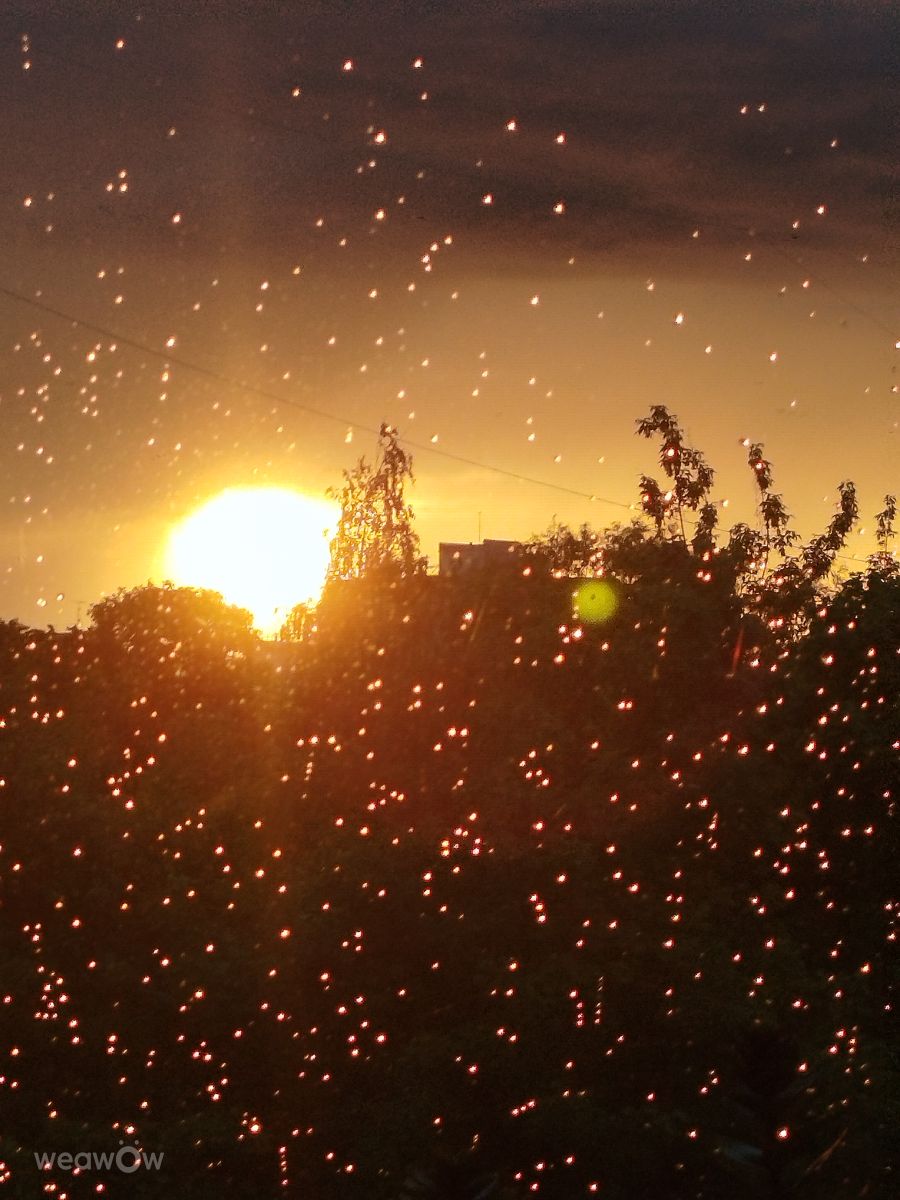 Weather Photos in Lithuania. Weather forecasts with beautiful photos by SofijaSv
