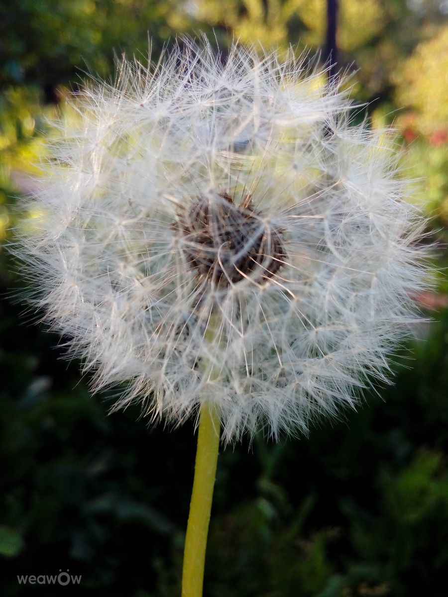 Fotos do tempo em Horlivka. Previsões do tempo com lindas fotos de MaxCreate