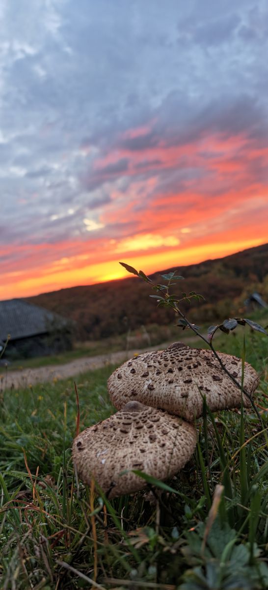 Photos météo à Bihor. Prévisions météo avec de superbes photos de MakiCami