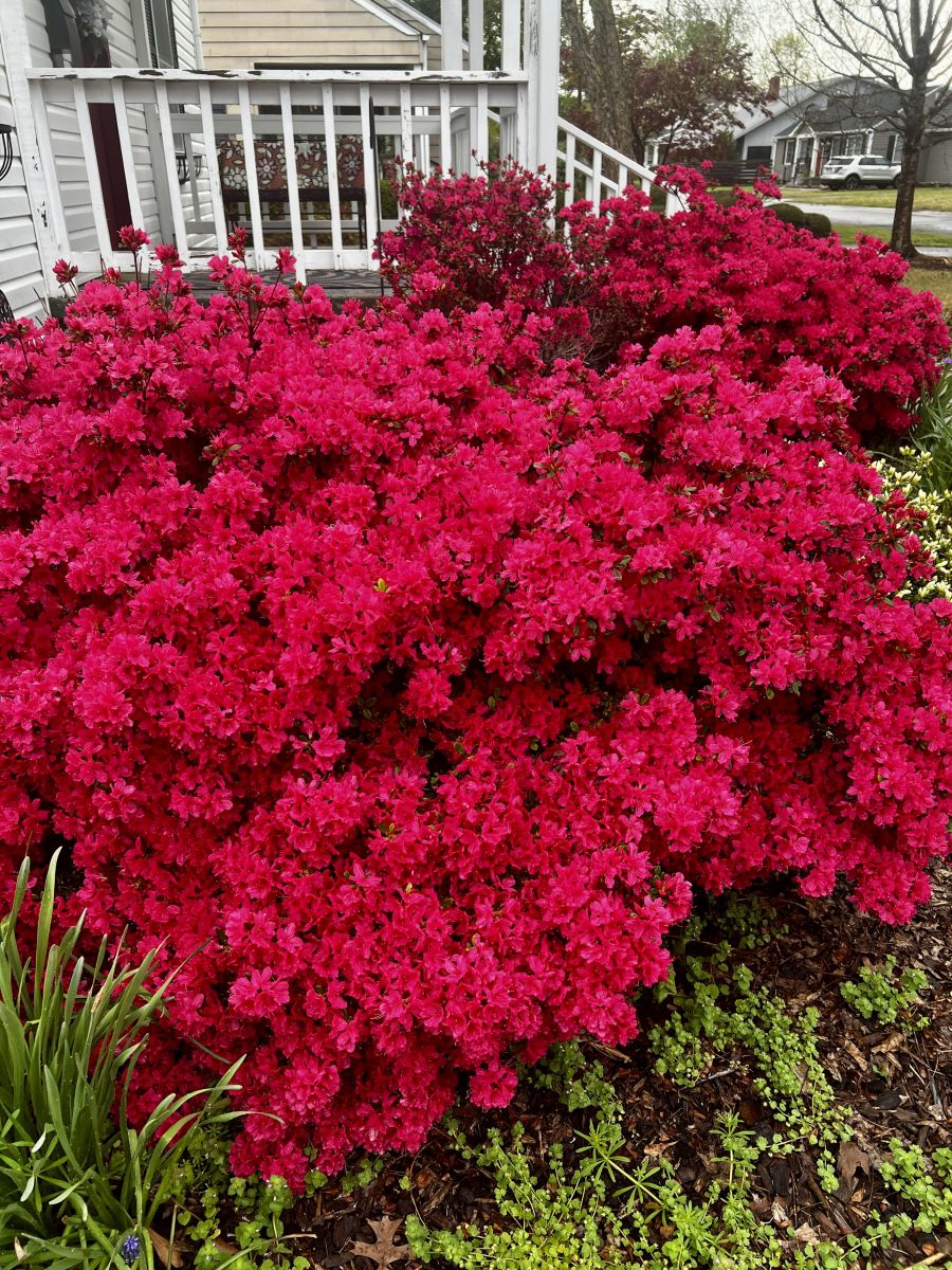 亚拉巴马州的天气照片. 天气预报，带Gash_Luber精美的照片