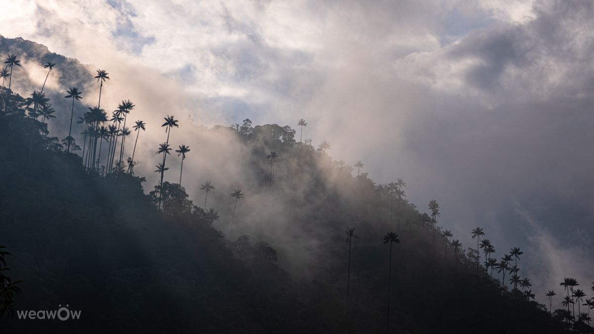 Pronósticos del tiempo con hermosas fotos de vlobes