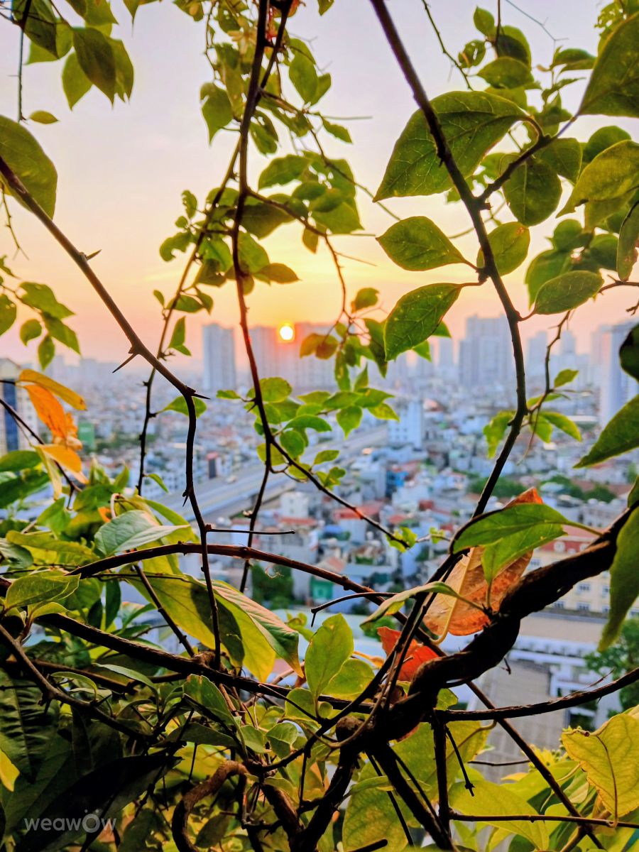Weather Photos in Vietnam. Weather forecasts with beautiful photos by Luuchanhung