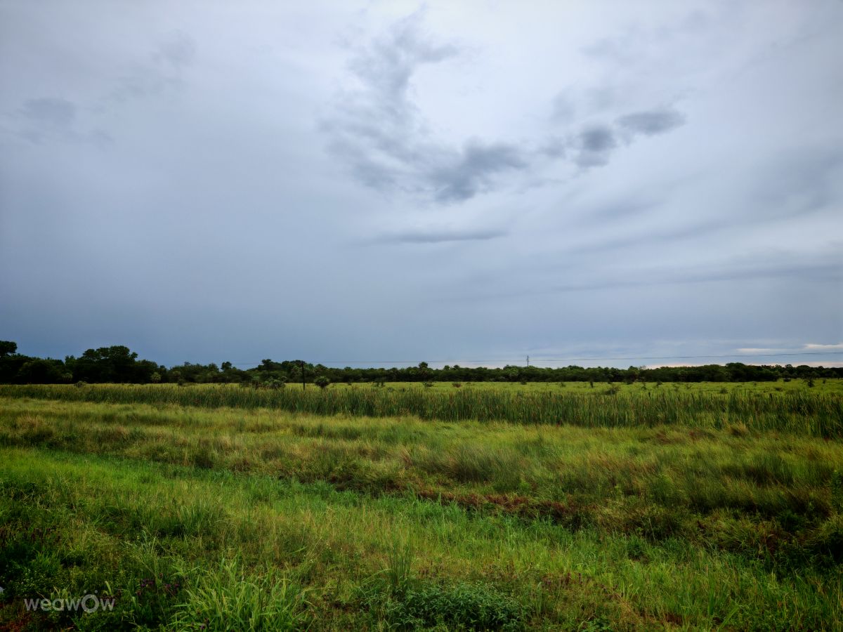 天气预报，带maxidaneli精美的照片