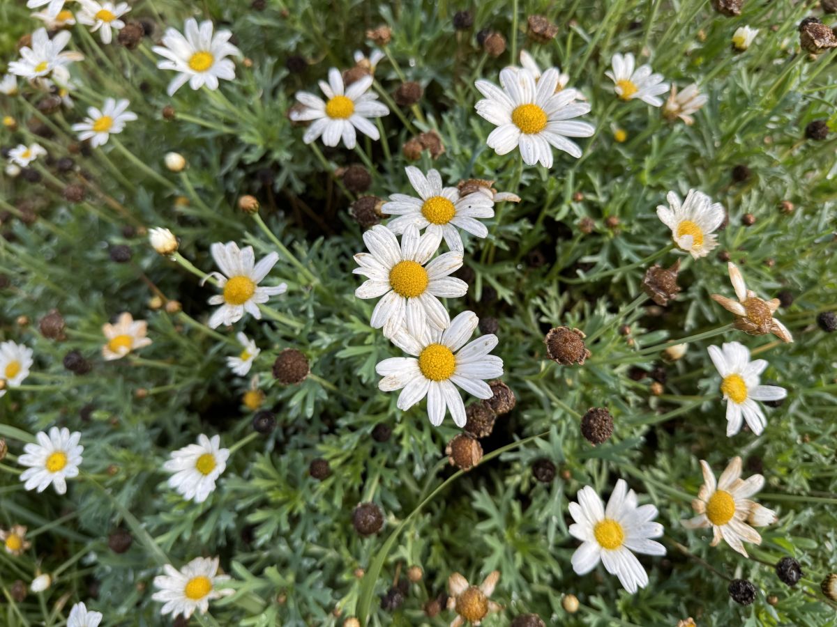 Photos météo à Sonceboz. Prévisions météo avec de superbes photos de SwissEloi