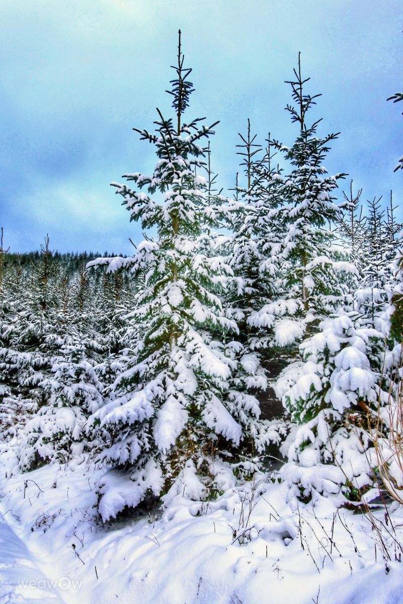 Weather Photos in Stockum. Weather forecasts with beautiful photos by Lotti5507