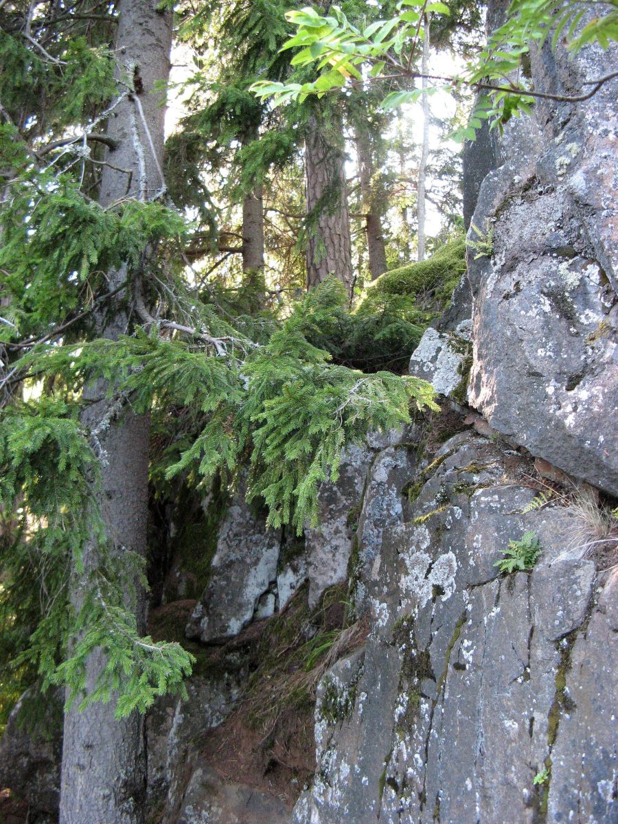 Fotos sobre el clima en Republic of Karelia. Pronósticos del tiempo con hermosas fotos de 19Lora46