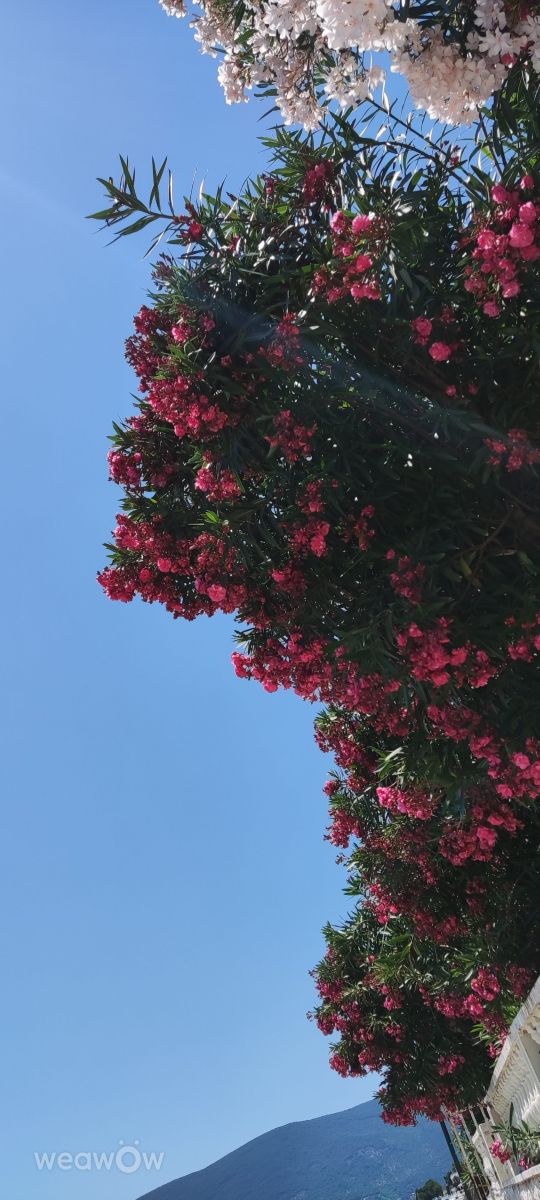 Weather Photos in Montenegro. Weather forecasts with beautiful photos by lourajner