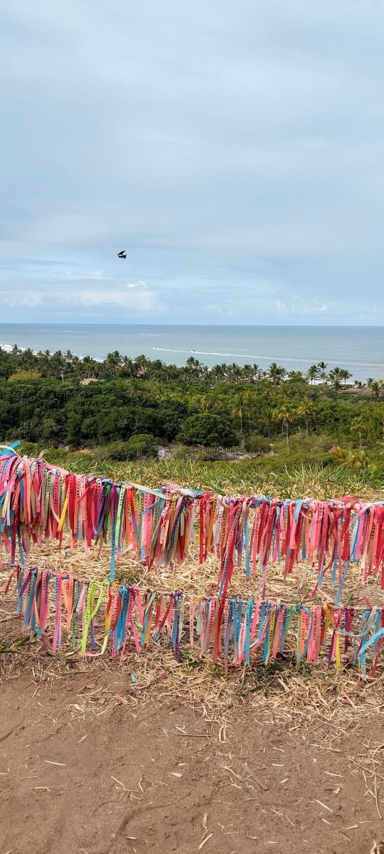 Fotos sobre el clima en Bahía. Pronósticos del tiempo con hermosas fotos de miguelespinaco