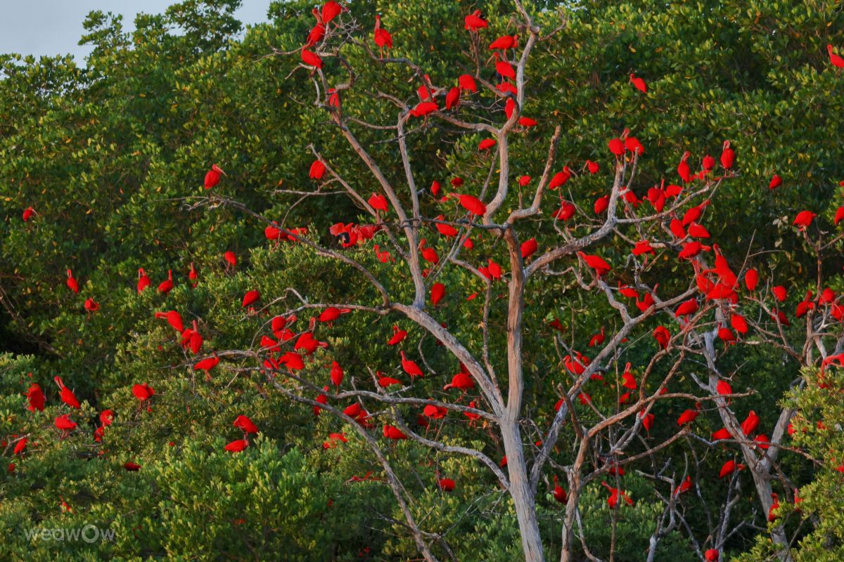 Weather Photos in Maranhao. Weather forecasts with beautiful photos by VIAꓨEM_E_HISTÓЯIA