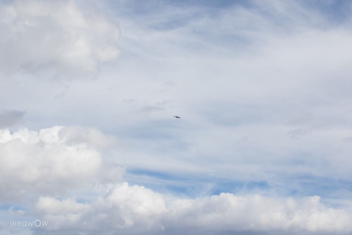 Weather Photos in Sarajevo. Weather forecasts with beautiful photos by Amiras
