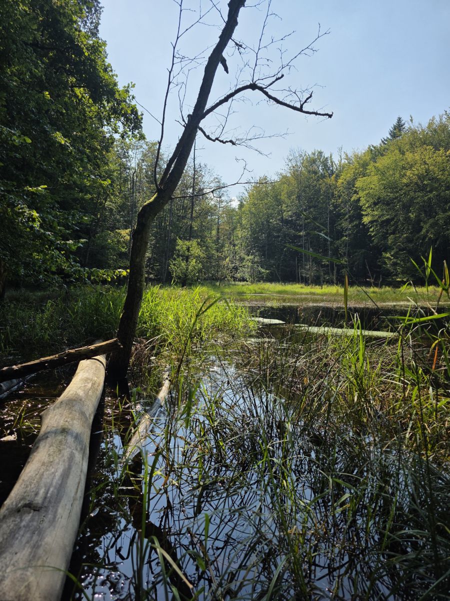 写真家 xPrzybyLx、グディニャの天気写真 - Weawow