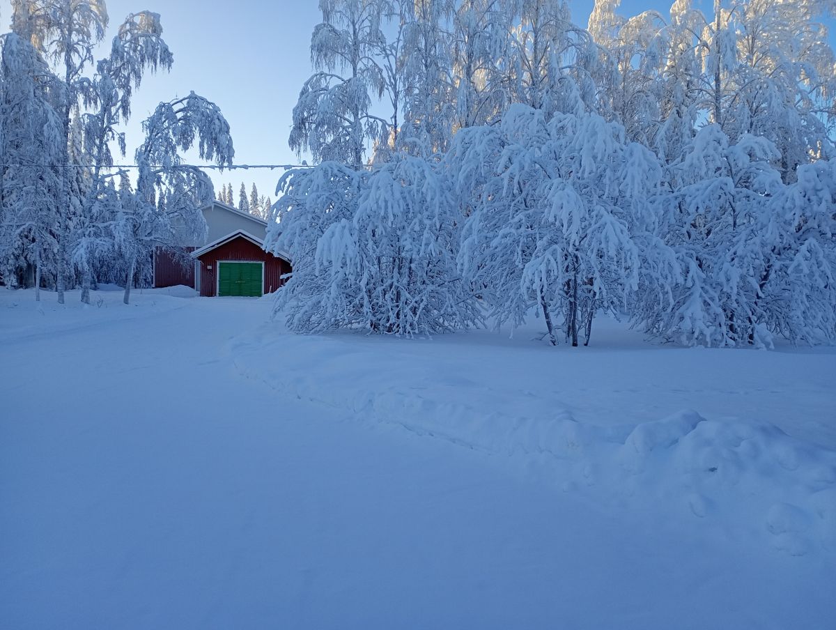 Fotos sobre el clima en Ostrobotnia del Norte. Pronósticos del tiempo con hermosas fotos de Juki