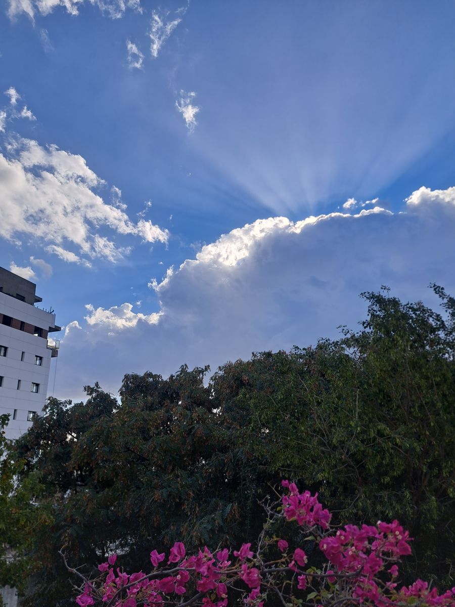Prévisions météo avec de superbes photos de Sviatoslav