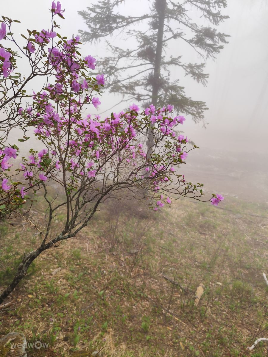 Weather Photos in Respublika Altay. Weather forecasts with beautiful photos by Yulika