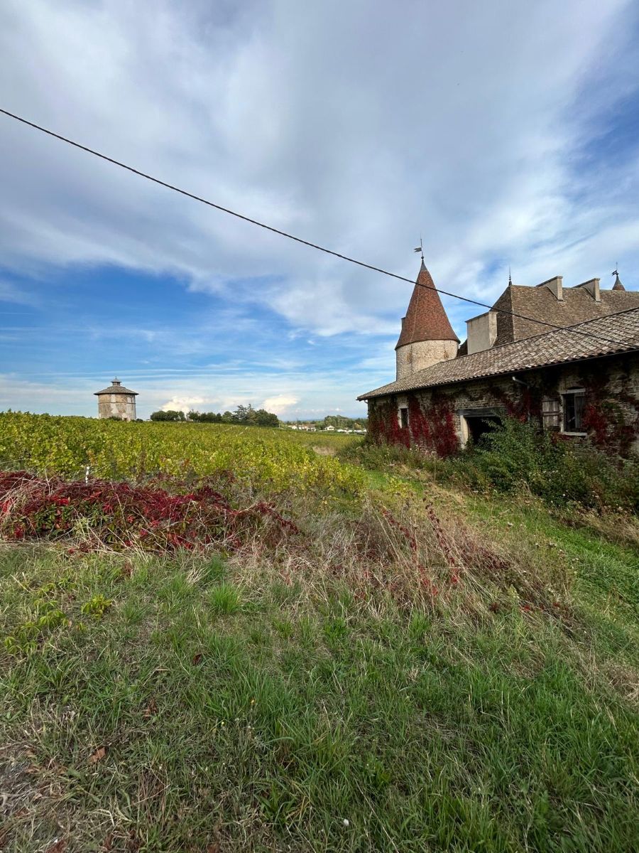 Weather Photos in Beaujolais. Weather forecasts with beautiful photos by Andbot_
