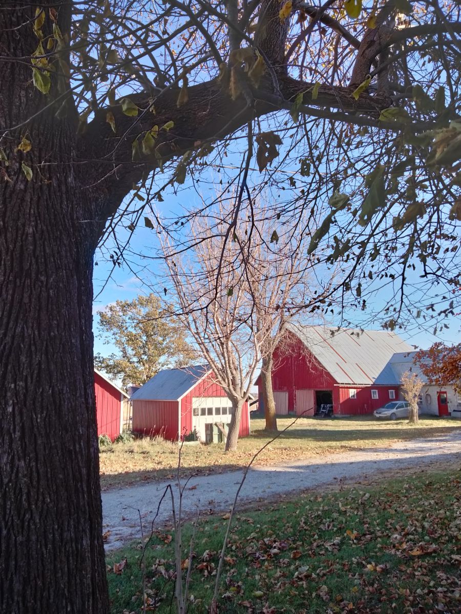 Weather Photos in Parnell. Weather forecasts with beautiful photos by Kate72