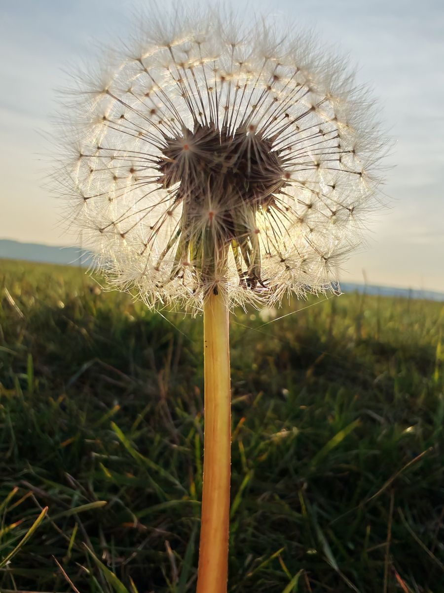 Pronósticos del tiempo con hermosas fotos de Mikaella