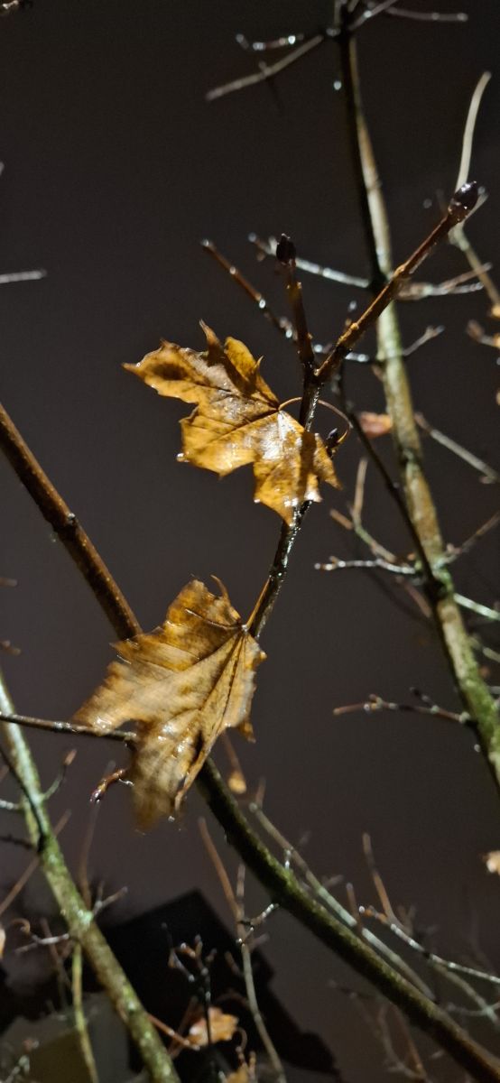 Photographer schimi, Weather Photos in Essen - Weawow