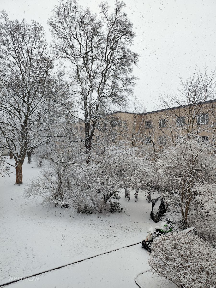 Fotografos Oleg1961, Fotos do tempo em Marienfelde - Weawow