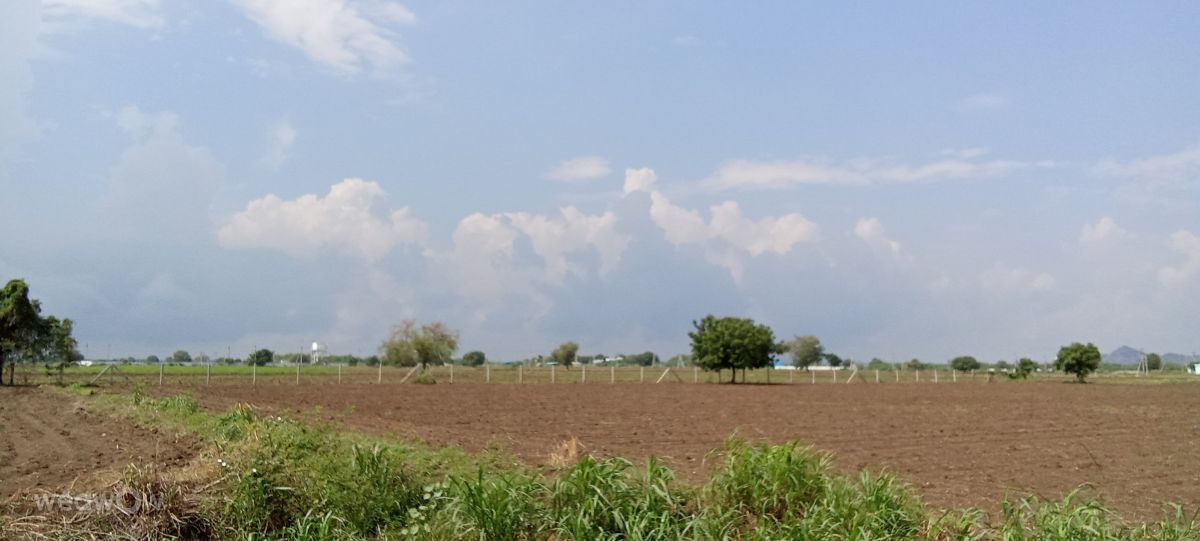 Weather Photos in India. Weather forecasts with beautiful photos by Imadabattini Bosu Babu