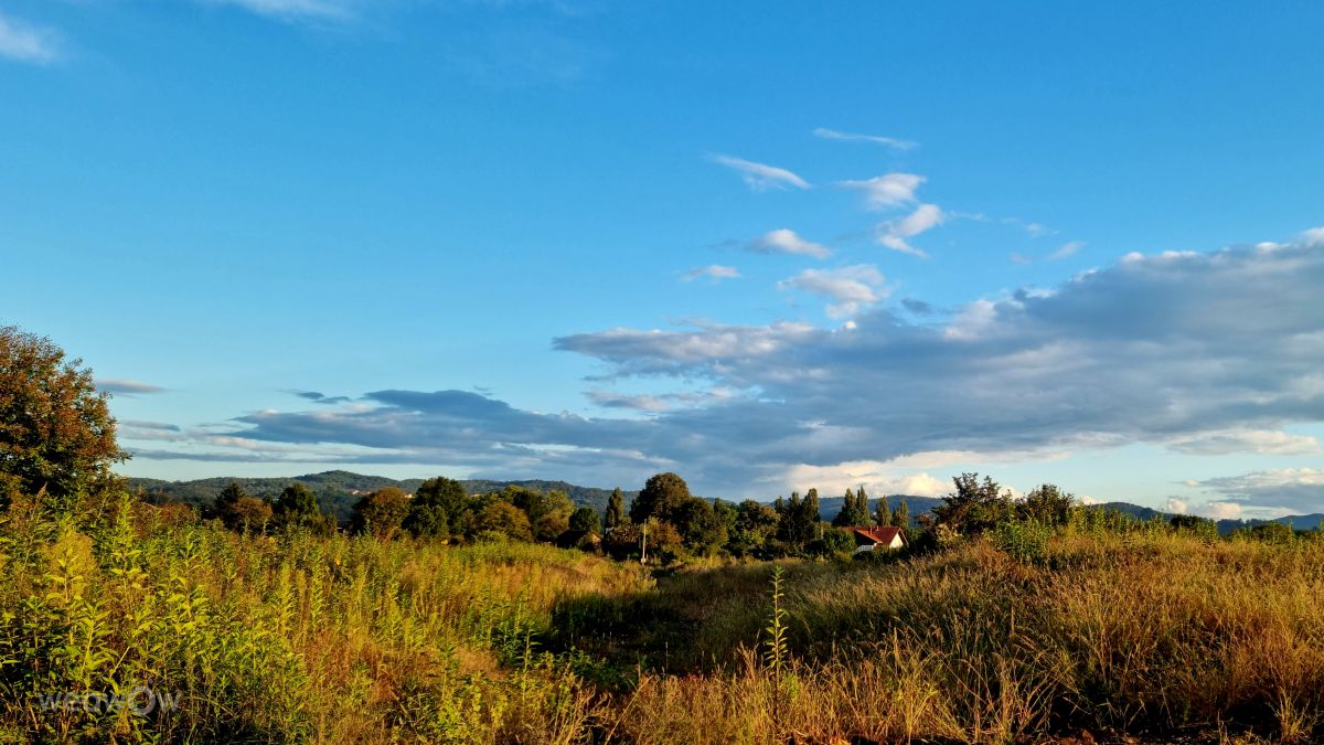 Weather forecasts with beautiful photos by MR