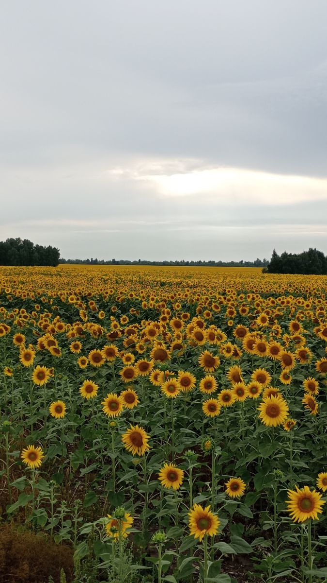 Weather Photos in Samara Oblast. Weather forecasts with beautiful photos by KxaSunlike