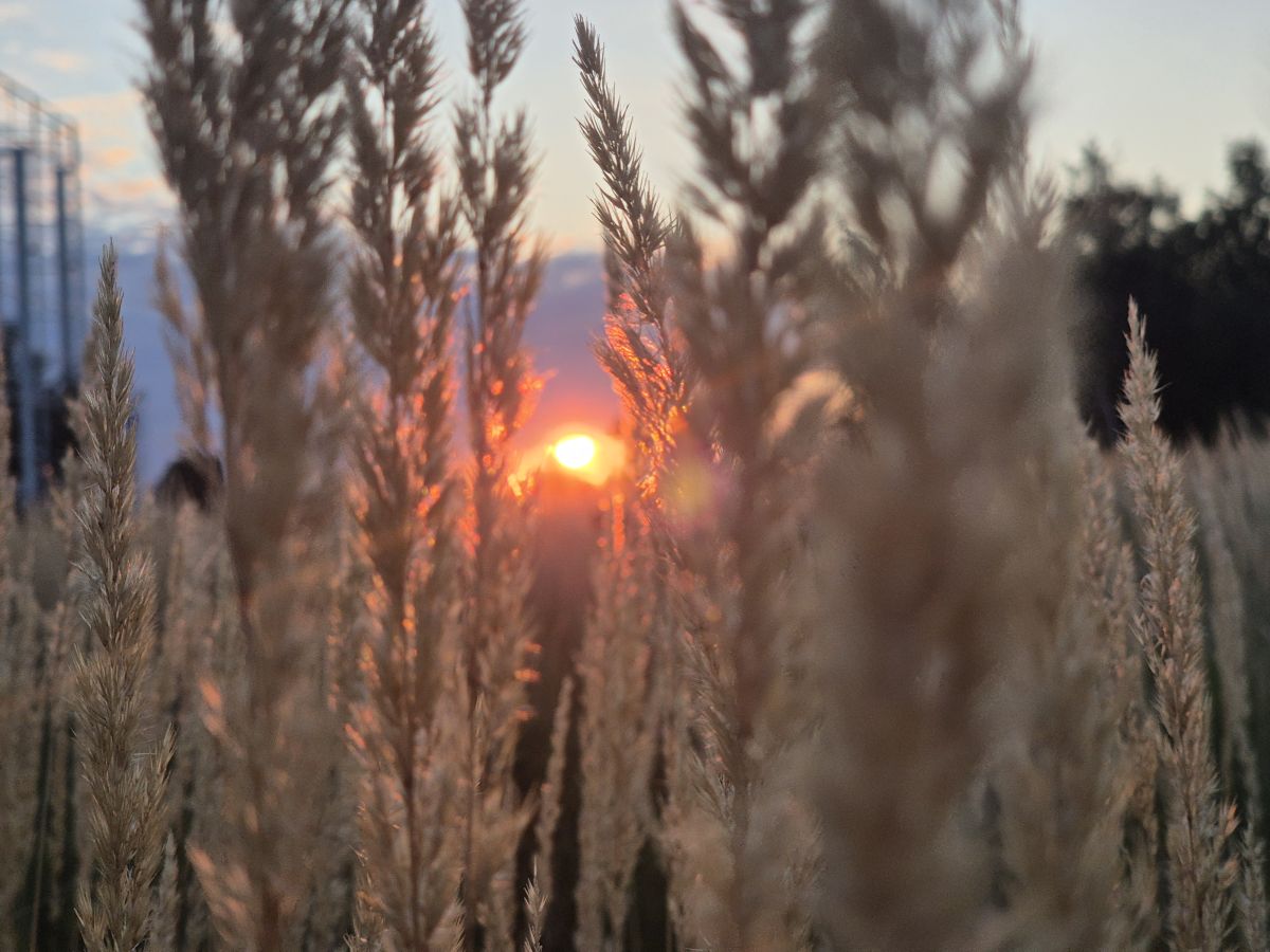 Фотографии Погоды в Сохачев. Прогнозы погоды с чудесными фотографиями, сделанными Krolololyk