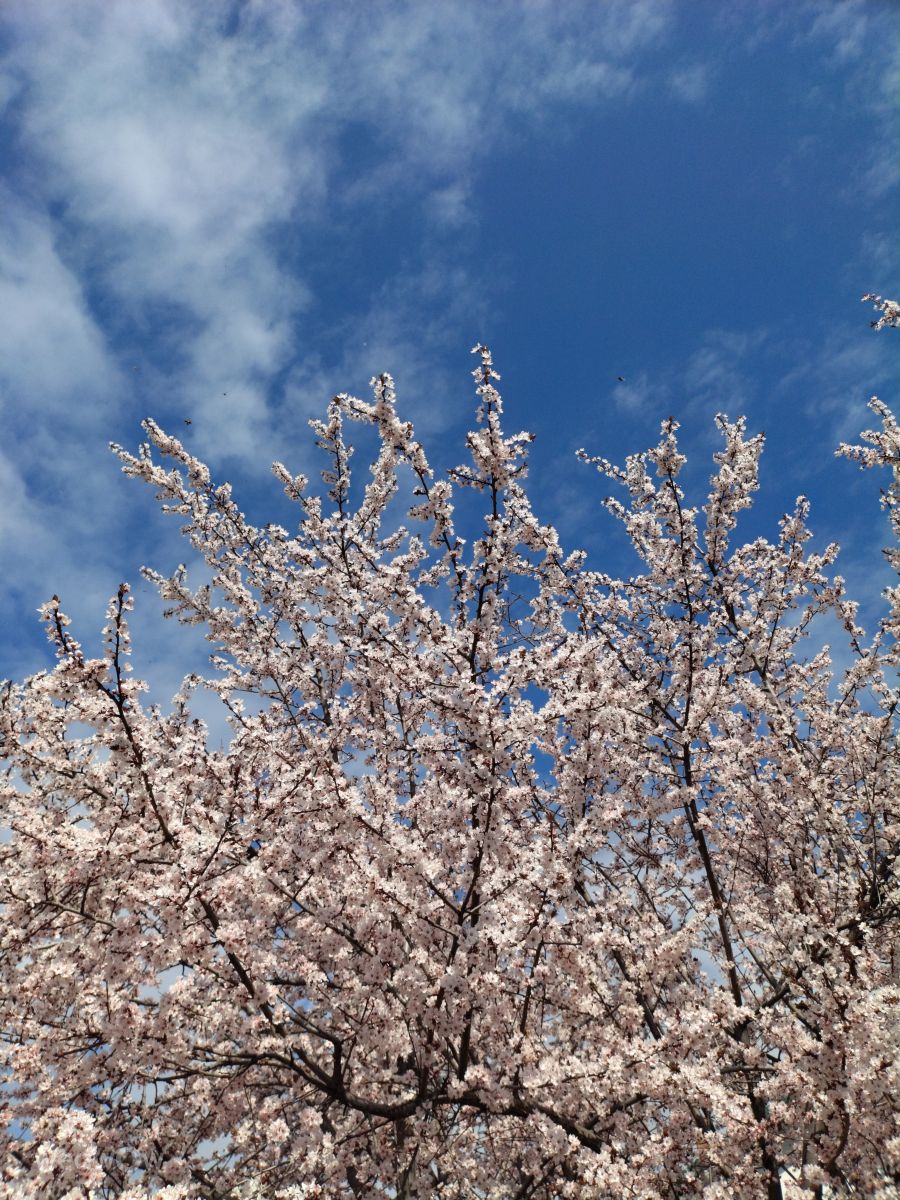 Weather Photos in Vrancea. Weather forecasts with beautiful photos by dadan2023