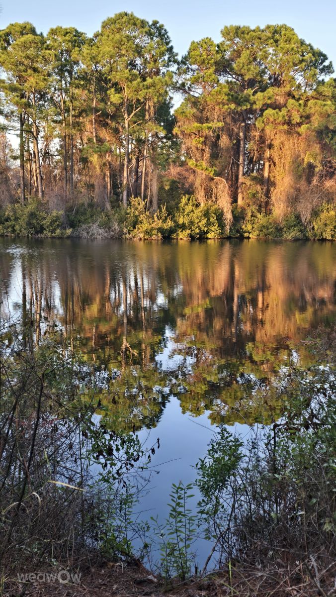 Weather Photos in Florida. Weather forecasts with beautiful photos by CaTSmiles