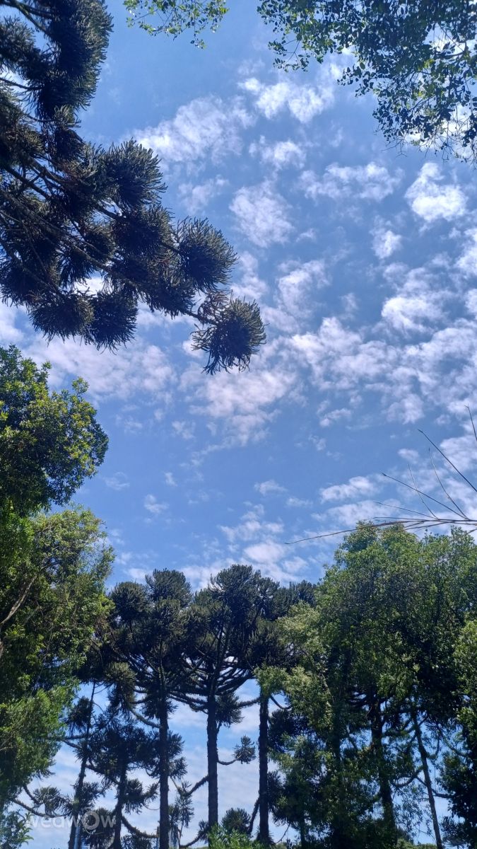 Weather Photos in Curitiba. Weather forecasts with beautiful photos by Edhê