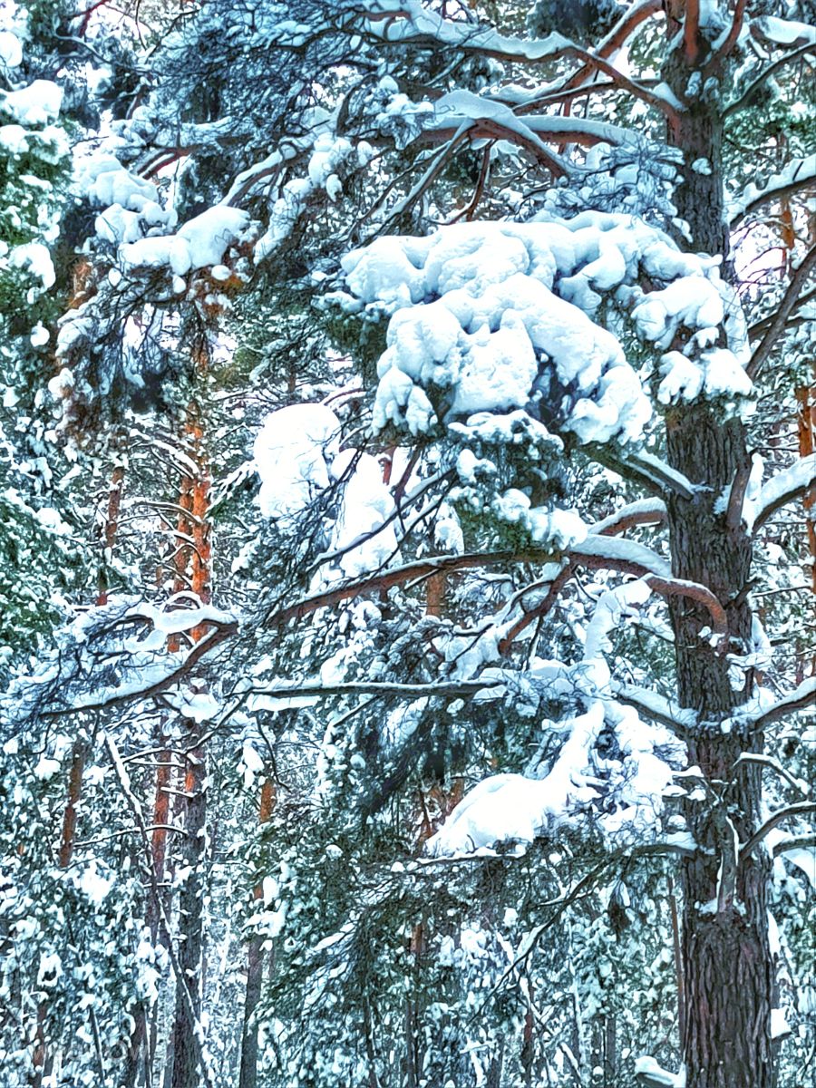 Weather Photos in Kurgan. Weather forecasts with beautiful photos by ElenaMak
