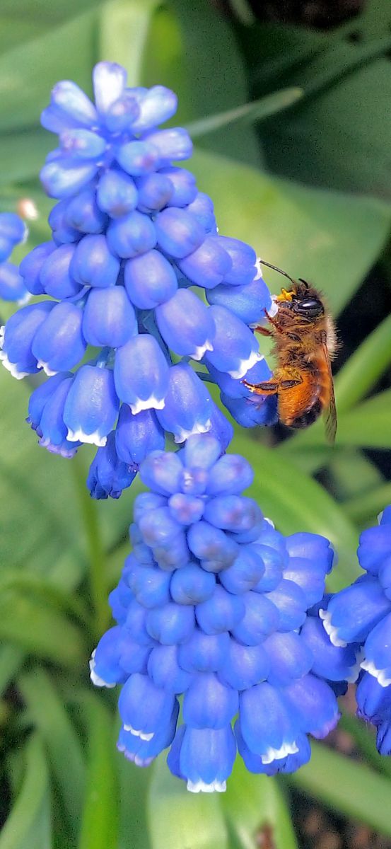 Photographer BHE6E, Weather Photos in Chernyanka - Weawow