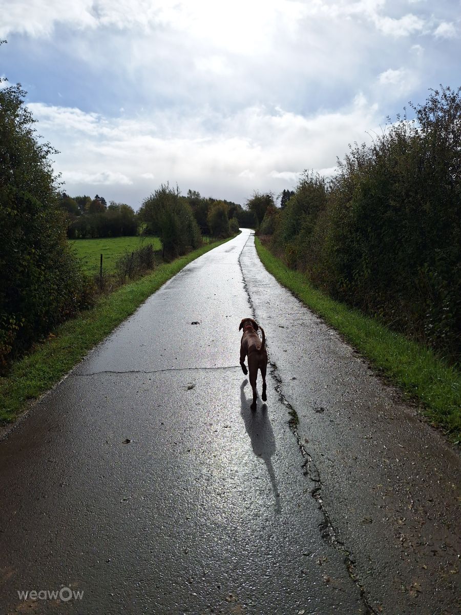 Weather Photos in Luxembourg. Weather forecasts with beautiful photos by lremmy