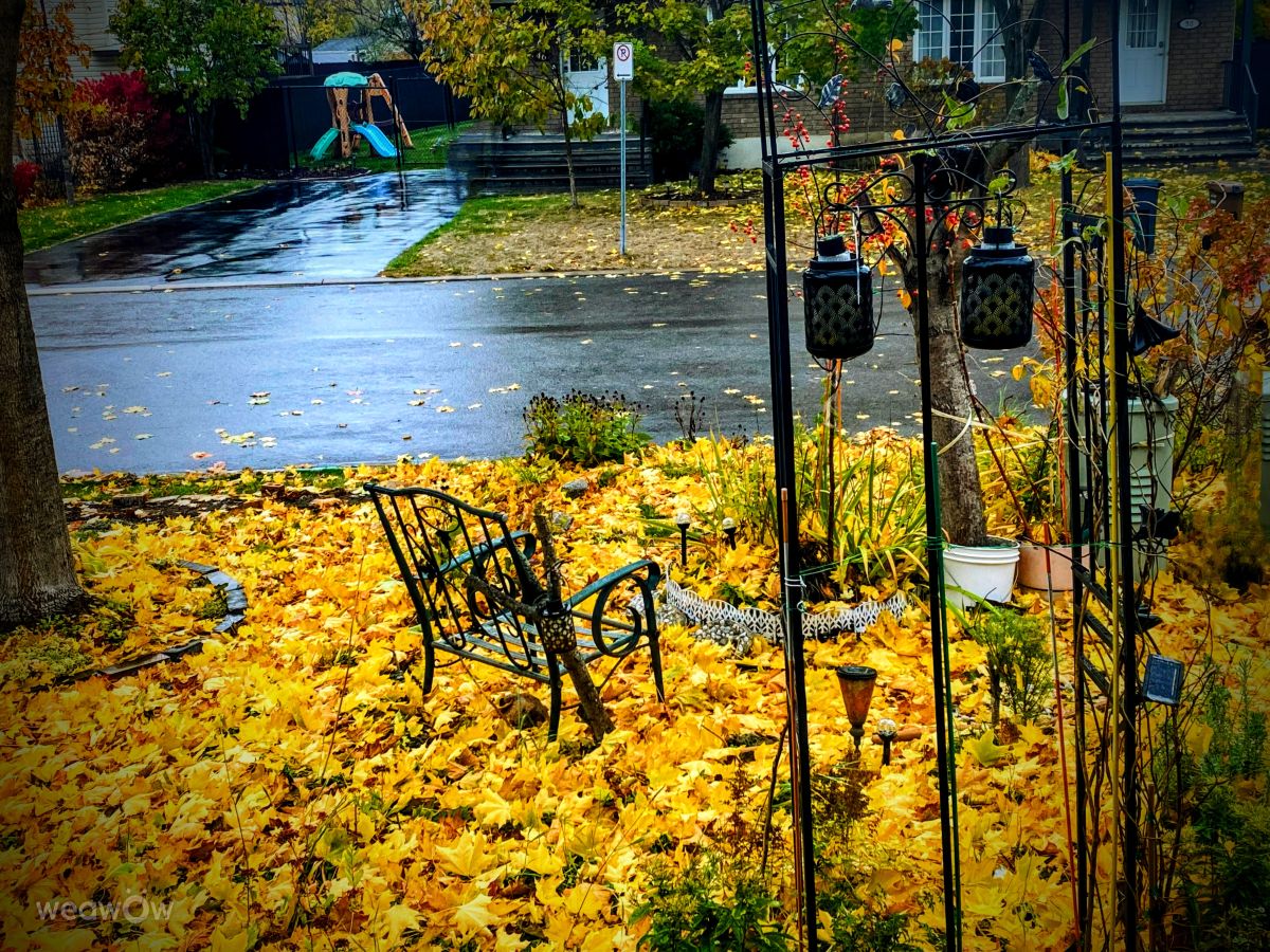 Fotografos Lulu5523, Fotos do tempo em le Plateau - Weawow