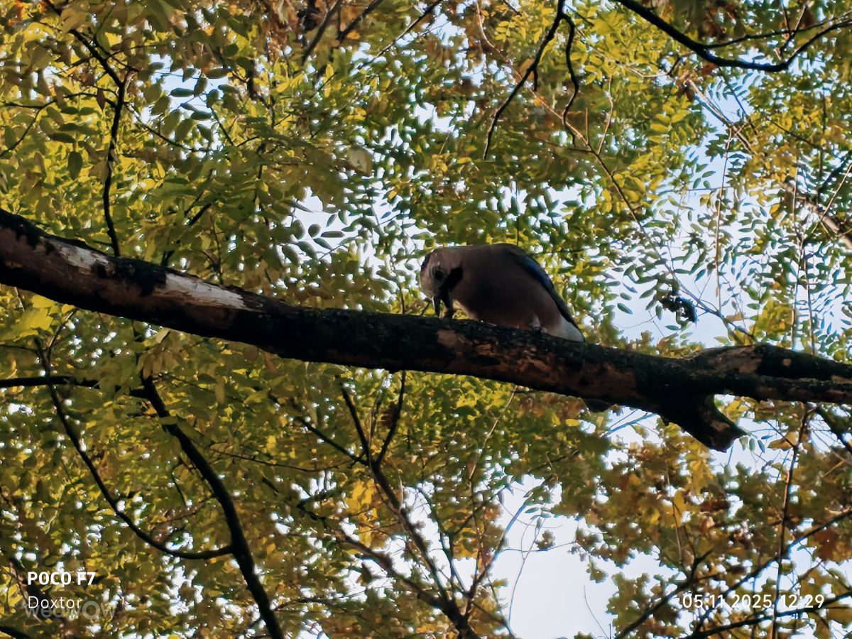 ロシアの天気写真. Doxtorの美しい写真による天気予報