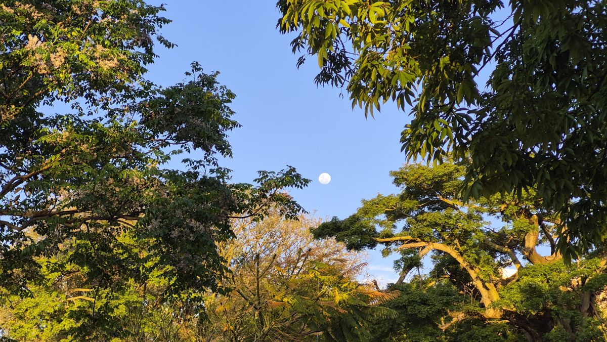 Fotos sobre el clima en Río Grande del Sur. Pronósticos del tiempo con hermosas fotos de Clara_Bina