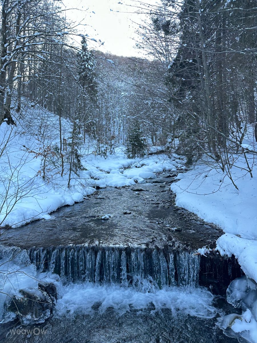 Weather Photos in Transcarpathia. Weather forecasts with beautiful photos by Інна