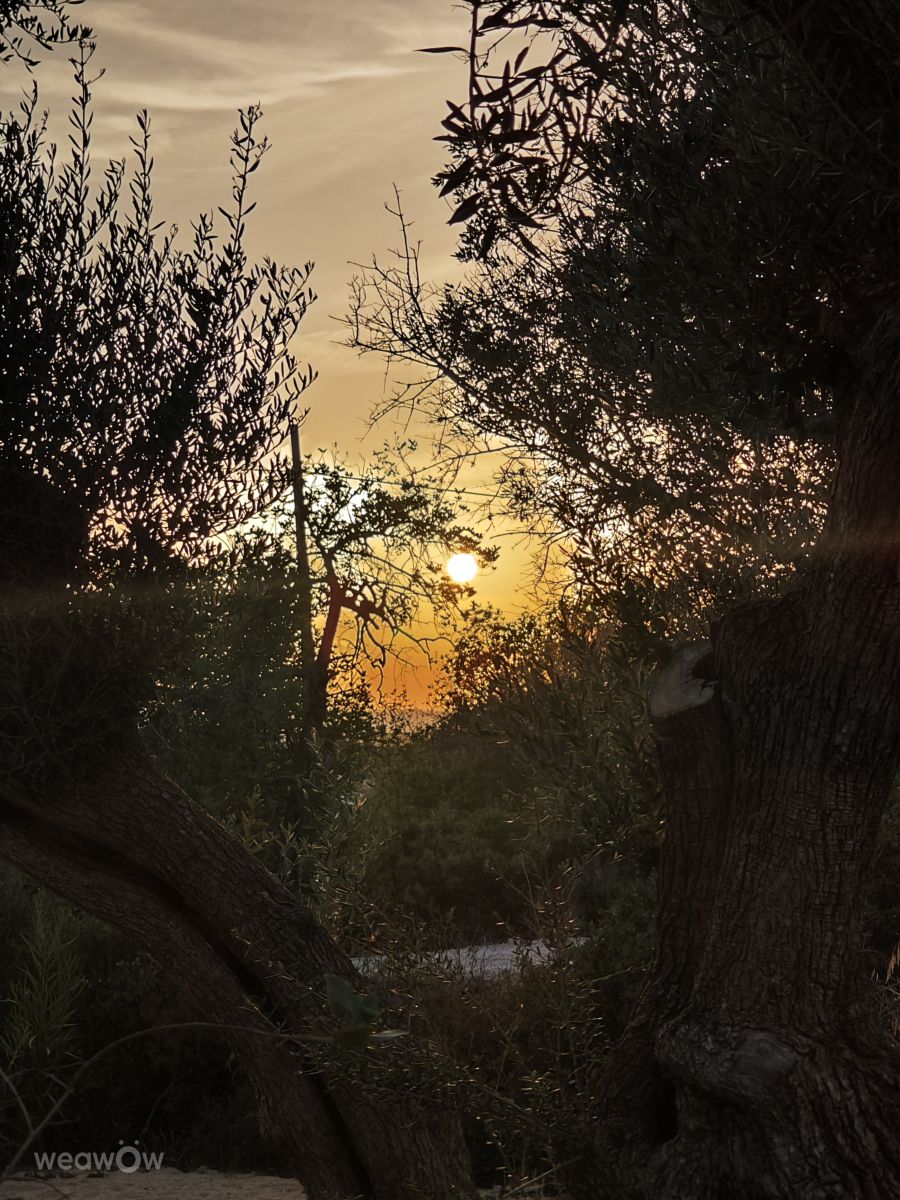 Фотографии Погоды в Vila Marachique. Прогнозы погоды с чудесными фотографиями, сделанными Yoda93