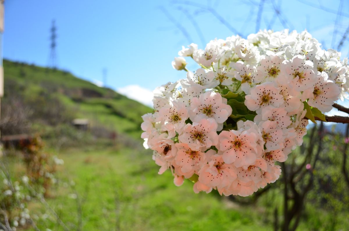 Weather Photos in Armenia. Weather forecasts with beautiful photos by Andrey72